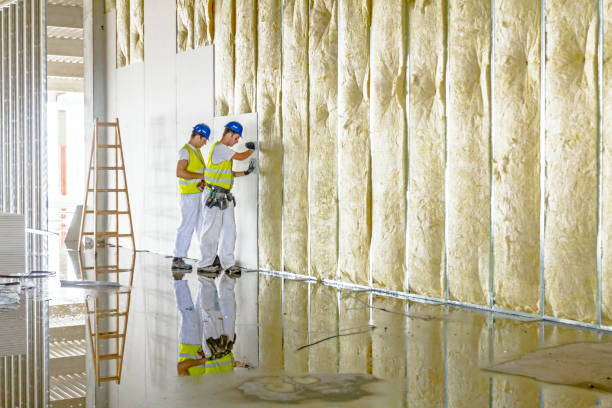 Professional Insulation Contractor in Martinsville, IL